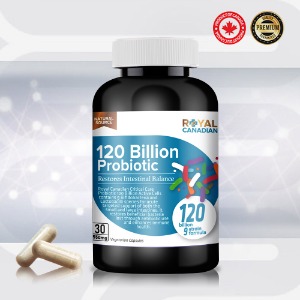 로얄캐네디언 프로바이오틱스 1200억 생유산균 550mg 30캡슐 캐나다